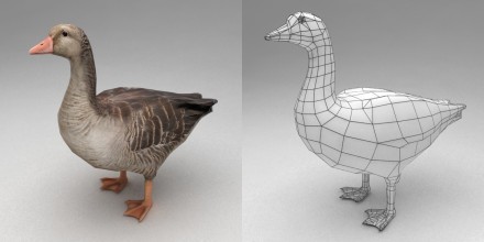 3D goose